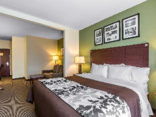Sleep Inn & Suites Bush Intercontinental - Iah East Humble Pokój zdjęcie